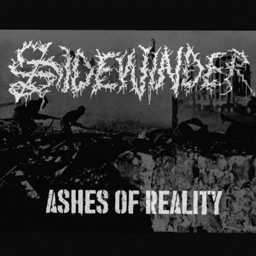 Sidewinder : Ashes of Reality